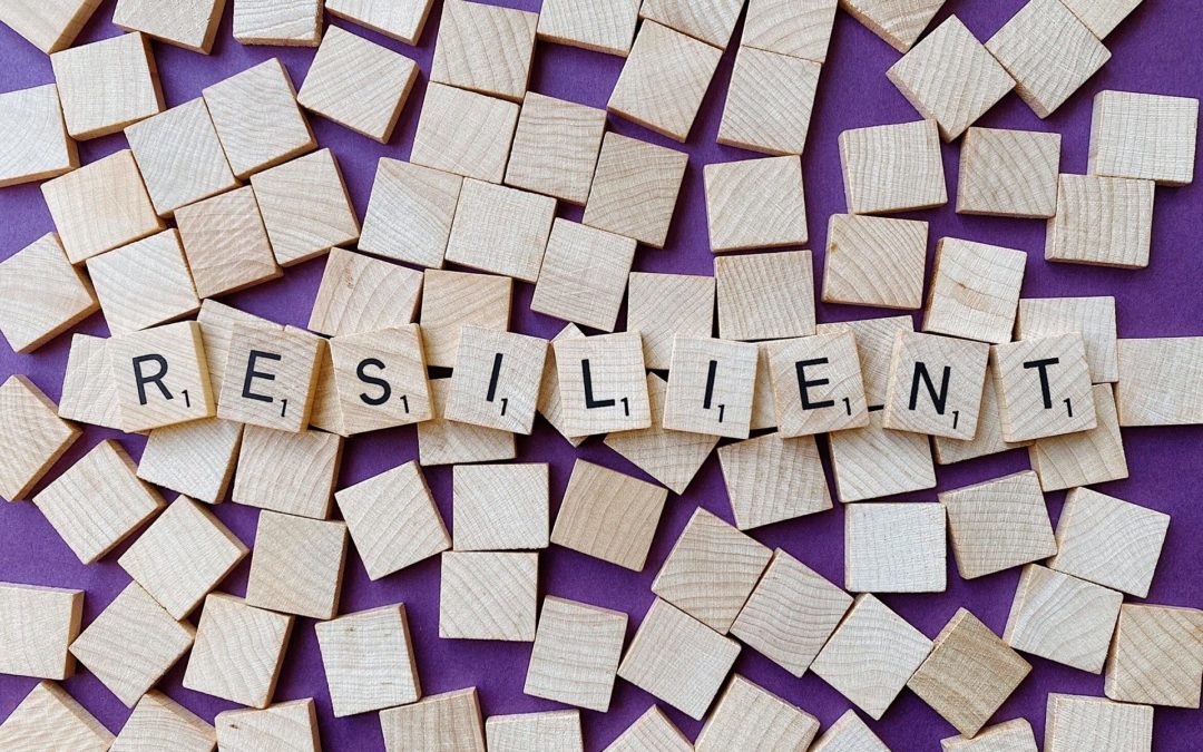 Why You Should Care About Resilience