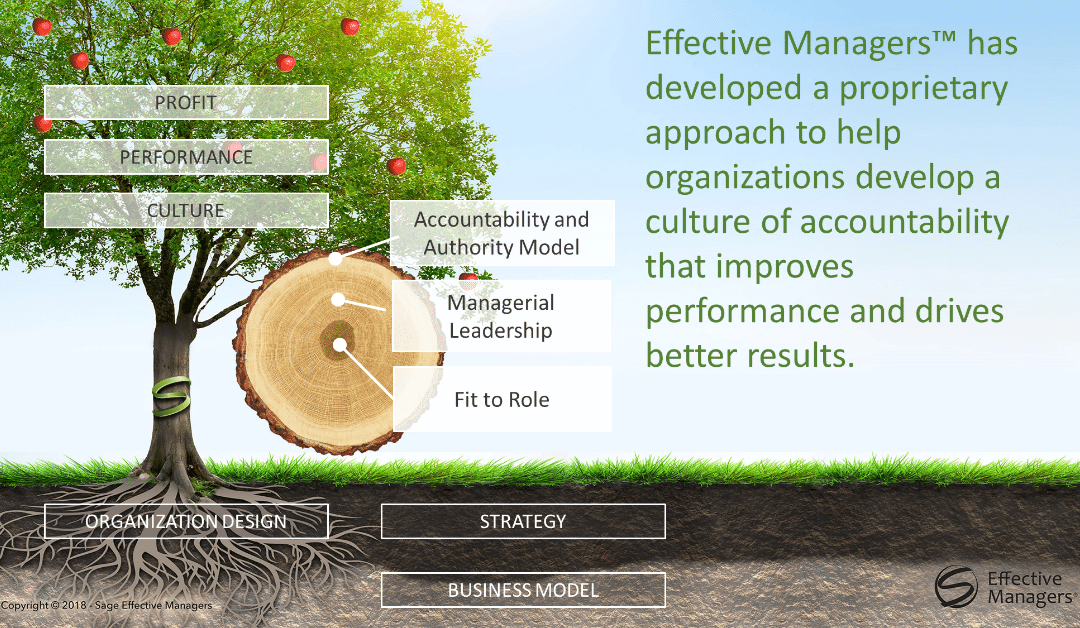 The Organizational Tree: A Model for Sustainable Performance